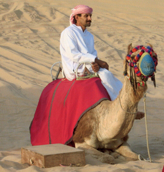 disabled travel wheelchair nancy nate Dubai camel 